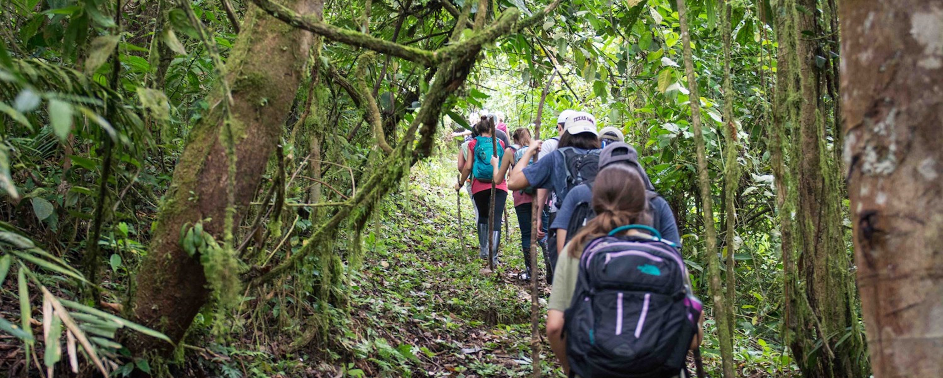 Students hiking in Costa Rica